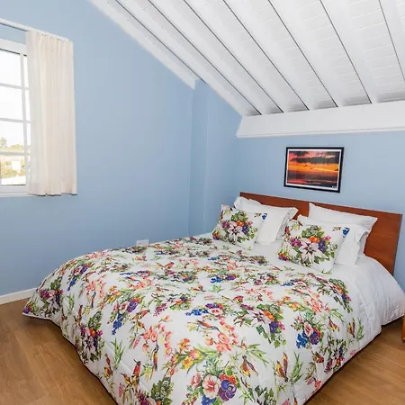 Whale Song * Feteiras